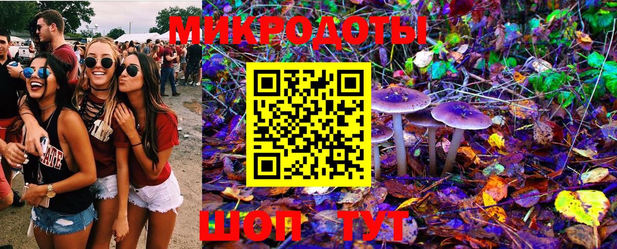 Севастополь  Псилоцибиновые грибы Psilocybe  даркнет сайт  Вход с VPN  Псилоцибиновые грибы MAGIC MUSHROOMS 